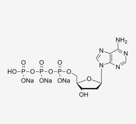 Muối natri DATP trong PCR 100mM Dung dịch 2'-Deoxyadenosine-5'-Triphosphate CAS 1927-31-7