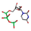 N1-Me-PUTP N1-Methyl-Pseudouridine 5'-Triphosphate Trisodium Salt 100mM Dung dịch