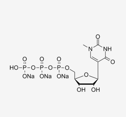 N1-Me-pUTP, dung dịch 100mM / HPLC≥99% / Số CAS: 1428903-5 / N1-metyl-pseudouridine 5'-triphosphat, dung dịch muối trinatri