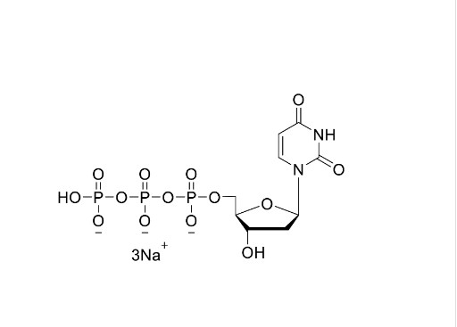 dUTP 100 mM Giải pháp/Muối Natri/HPLC≥99%/2'-Deoxyuridine-5'-triphosphate muối trisodium